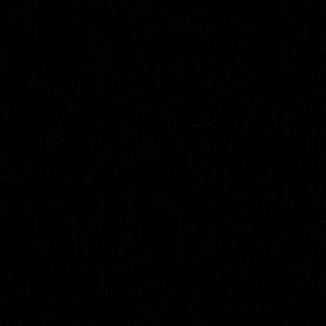 Meet your Posher, Lisette